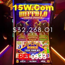 Experiência VIP Bet0933